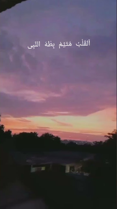 al qolbu mutayyam #storywa #sholawat #senja aesthetic✨