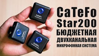 CaTeFo Star200 | Обзор и тесты бюджетной двухканальной микрофонной системы