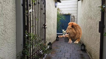 3D Composition with Camera Track created in  Nuke