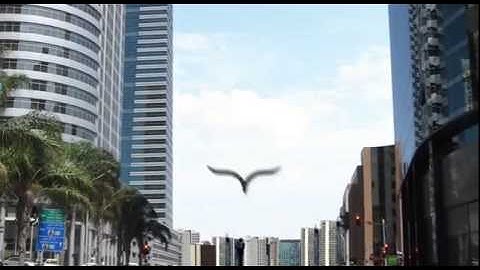 Russian Binary Options Trading Websites i.e. 24Option, Plus500, eTorro, Banc de Binary, GOptions