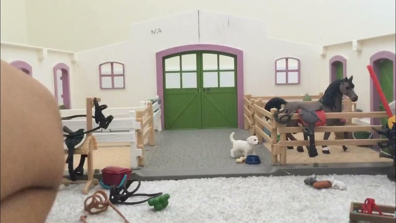 New stable set up YouTube