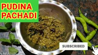 పుదీనా పచ్చడి ఇలా చేస్తే Taste అడిరిపోతుంది || Mint Chutney recipe in Telugu ||Pudina Chutney Recipe