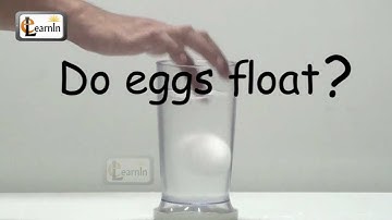 Eggs floating in salt water - Science Experiment for School Kids