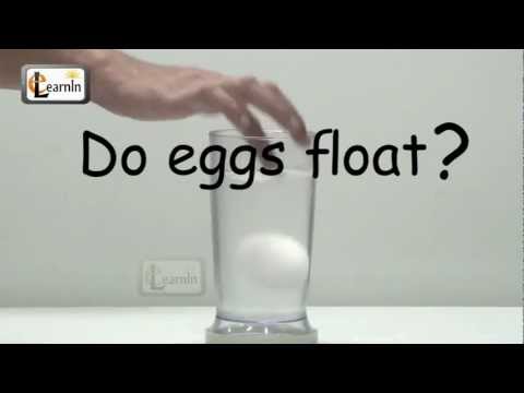 Eggs floating in salt water - Science Experiment for School Kids