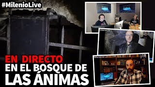 Download En El Bosque De Las Ánimas | #mileniolive | Programa Nº 7 02/11/2018 Video MP3 En El Bosque De Las Ánimas | #mileniolive | Programa Nº 7 02/11/2018