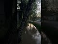 This Peaceful Water Scene Will Calm Your Mind 🌊🌿#relax #calm #nature #water #peaceful #asmr