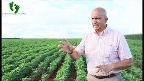 Effects Of Waterlogging