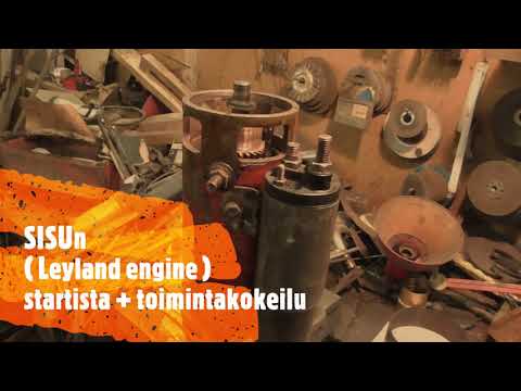 Video: Kuinka istutat Leyland-sypressipensasaidat?