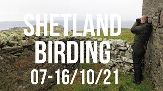 Shetland Birding 07-16/10/21