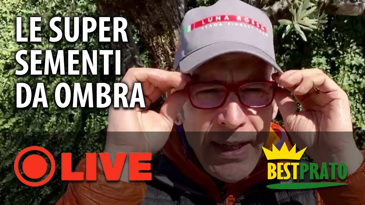 LE SUPER SEMENTI FA PRATO CHE RESISTONO ALL’OMBRA