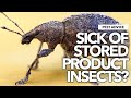 Az of pests pest advice for controlling stored product insects spis