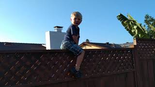 Michael climbs the neighbor's fence