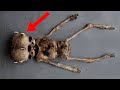 12 Incredible and Unexpected Finds