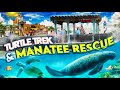 Zoo tours seaworld orlandos turtle trek  manatee rescue