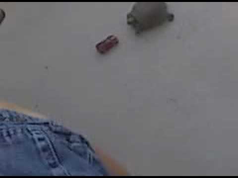 Turtle Chases Ferrari