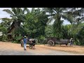 Traditional village life in Phuket | Thailand village 2019