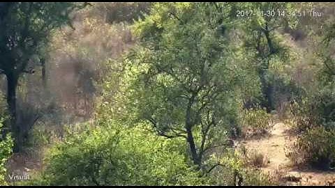 RISL-Wildlife Surveillance and Anti Poaching System - Zoom