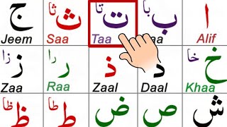Quran | Alif Baa Taa | Arabic Alphabets | Noorani Qaida Lesson 1 | Learn | Arabic Beginner | Allah