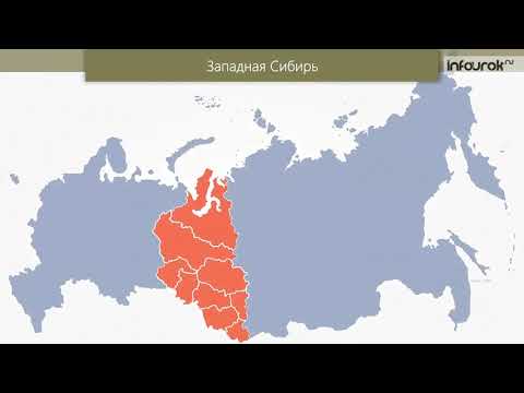 Бейне: Батыс Сібір жазығының экологиялық мәселелері. Батыс Сібірдегі табиғат пен адам мәселелері