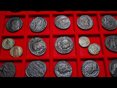 Vidéo: Qu'est-ce qu'un synonyme de numismate ?