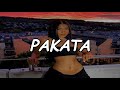 Darell El Alfa PAKATA Official Video Lyric mp3