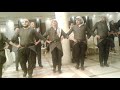 فرقه الشعراويه للفون الشعبيه للحجز0788491827 فرقه الشعراويه للفون الشعبيه للحجز0788491827