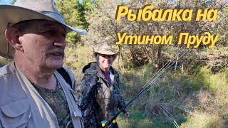 картинка: Осенняя рыбалка на утином пруду