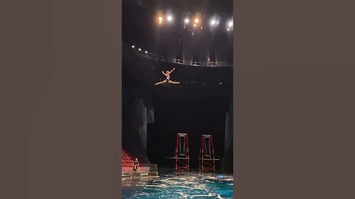 Flyyyyy 🫣 would you Jump? #circus #dive #acrobat Performer: Julie
