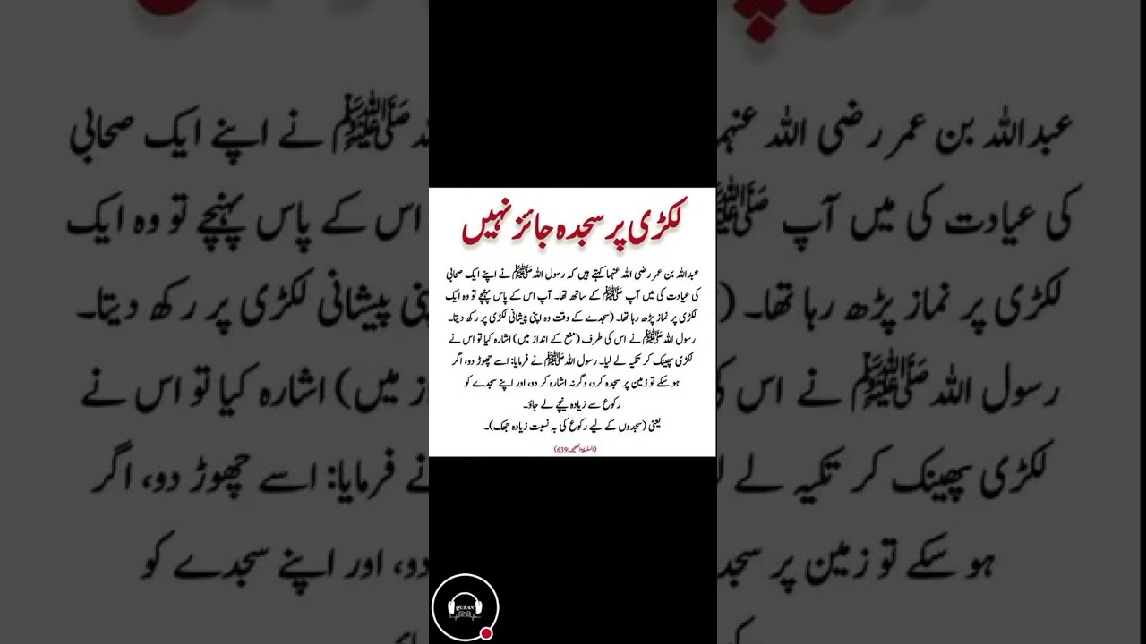 The Quran Voice | live videos