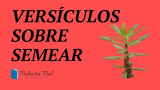 Versículos sobre Semear | Versículos de Semeadura