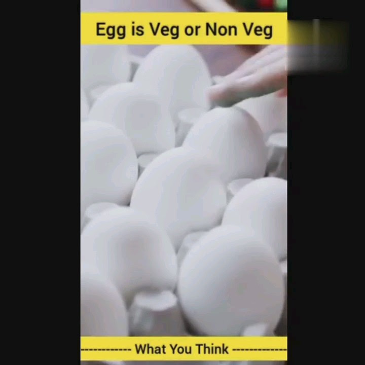 bangalore-non-veg-king-making-huge-varieties-of-non-veg-in-1-thali-rs