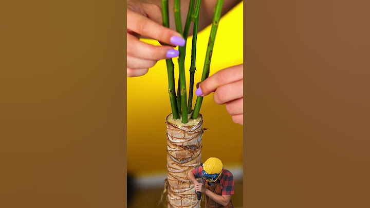 Butch REACT to Simple and Easy Gardening Hacks