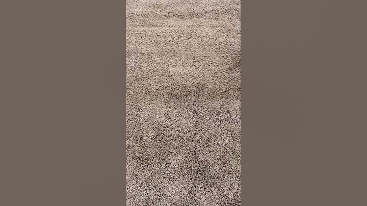 Let’s Clean A Shag Rug #shorts #cleaning
