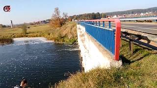 Где ловить на БЕРЕЗИНЕ | Есть ли рыба на дамбе | Рыбалка на Березине