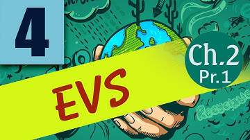 Class 4 | EVS II : Chapter No 2 : Work of the Saints : Part 1