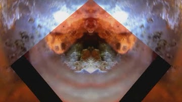 Self organizing information