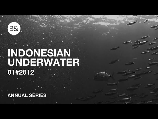 2012 INDONESIAN UNDERWATER | EPS#01 | B&wtf class=