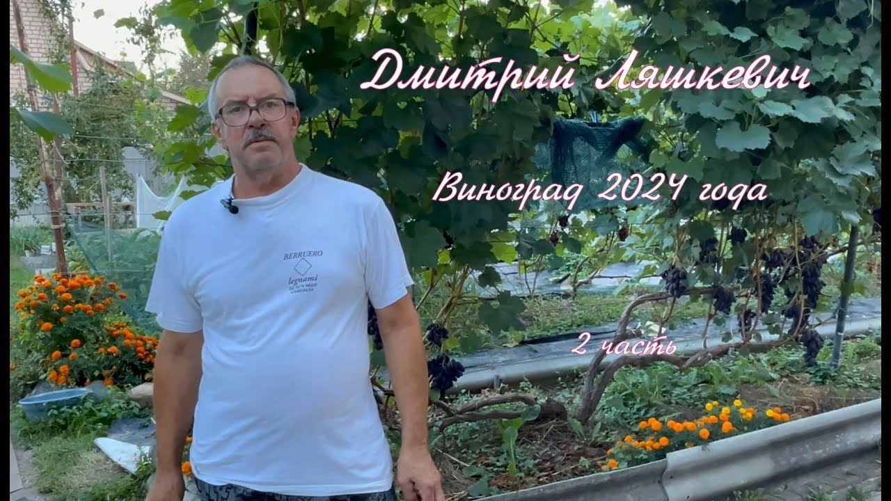 Дмитрий Ляшкевич 2024год   2 часть