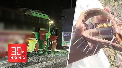 Bản tin 30s nóng: Trích xuất camera vụ ô tô tông xe khách; Đeo vòng cổ ngăn báo tấn công