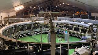 Milking Time-lapse | Coopon Carse Farm