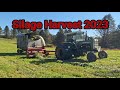 Silage Harvest 2023