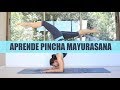 Yoga para aprender Pincha Mayurasana | Balance en antebrazos con Elena Malova