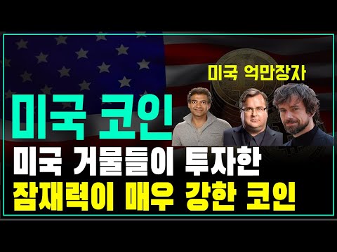 미국 억만장자들이 투자한 잠재력이 매우 강하고 투자하기 좋은 미국 코인 