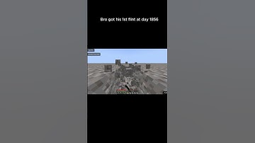 Bro got flint at day 1856💀#shorts #minecraft #meme