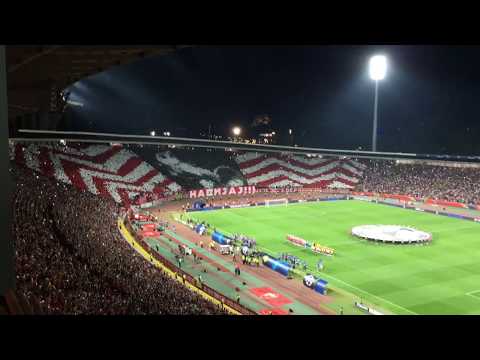 Champions League Crvena Zvezda Young Boys 1 1 Red Star Fans