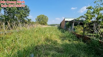 Bán đất thổ cư Củ Chi 1600m Mt đường nhựa giá rẻ