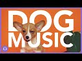 Relaxing Dog Music - 12 Hours of Music to Combat Anxiety, Boredom and Stress (NEW)