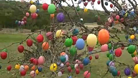 Easter Egg Tree so. of Granbury  home of Nola + Cl...