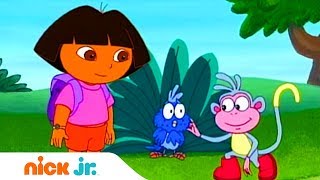 Мультик Дашапутешественница Синяя птица Nick Jr Россия