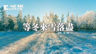 袁小葳 - 等冬來雪落盡『可是我等冬來雪落盡卻等不到你，誰為我擦眼角的淚滴，雪花隨風落地隨風起又飄向哪裡，為你受盡委屈依然愛你。』【動態歌詞MV】